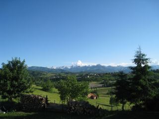 EMF20009