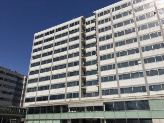 lab
